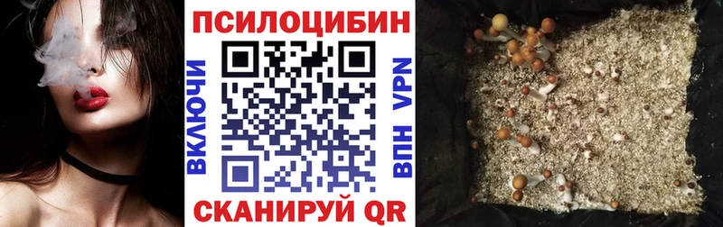 Псилоцибиновые грибы GOLDEN TEACHER  Бодайбо 